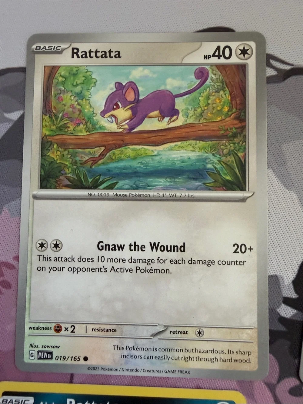 Rattata & Raticate Evolution Lot | Pokémon 151 + Pokémon GO | ✨5/$25✨